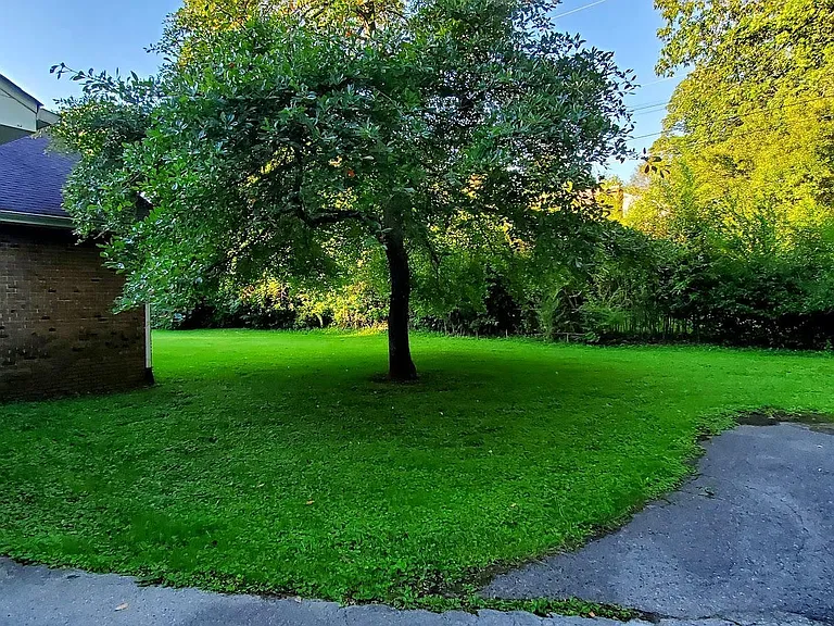 parking and grassy area
