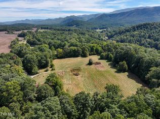 250 Bill Martin Rd, Afton, TN 37616