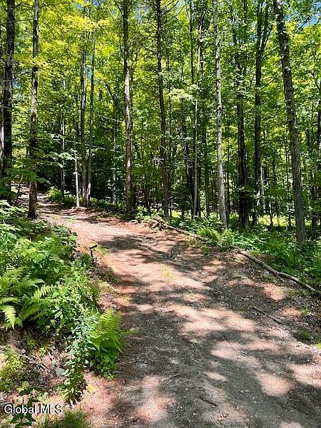 2nd image of L7.41 Summit Lake Road