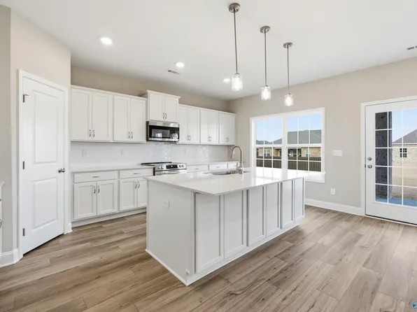 206 Slade Thomas Dr, Meridianville, AL 35759