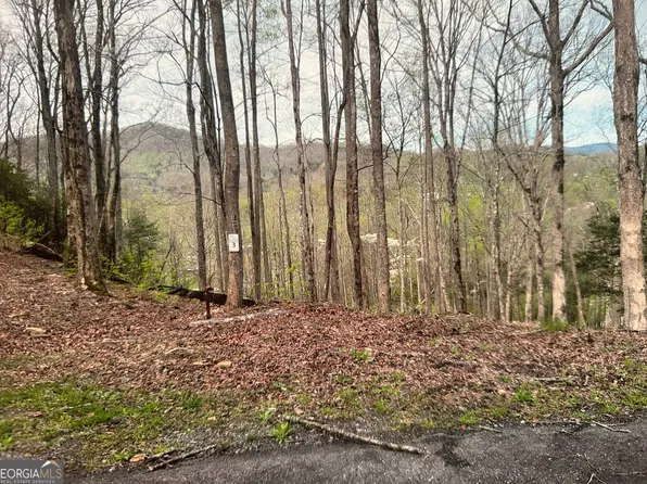 3 Buckhead Hls, Hiawassee, GA 30546