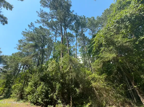 LOT 2633 Sycamore St Lot 2633, Ocean Springs, MS 39564