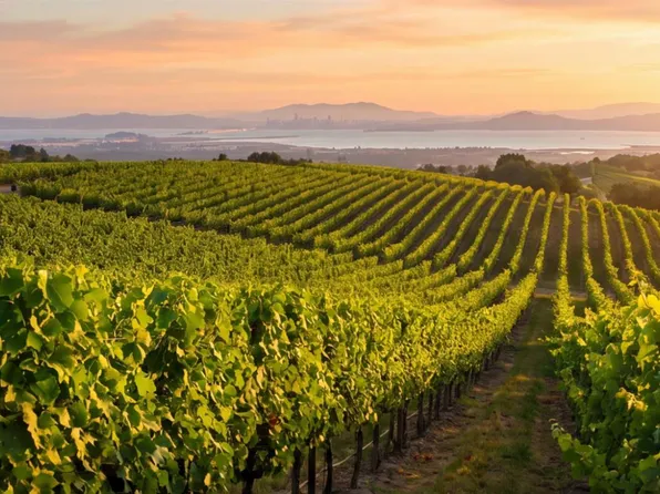 3001 Sears Point Rd, Sonoma, CA 95476
