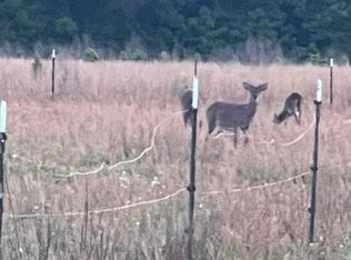 Cecil Rd, Manning, SC 29102