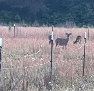 Cecil Rd, Manning, SC, 29102