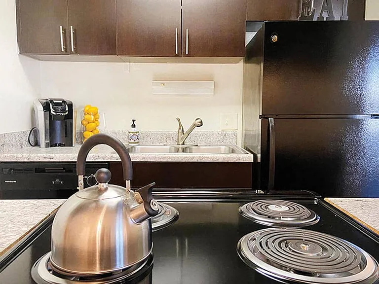 Energy Efficient Appliances