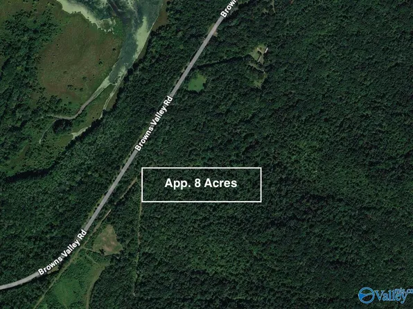TRACT 1 Browns Valley Rd, Guntersville, AL 35976