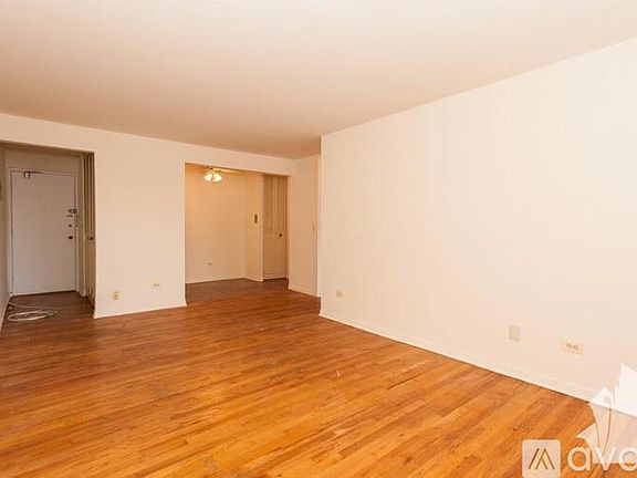 3rd image of 541 W Briar Pl APT 204