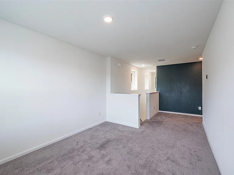 17214 Texas Willow Dr — Photo 23