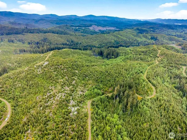 1 Parpala Road #1, Naselle, WA 98638