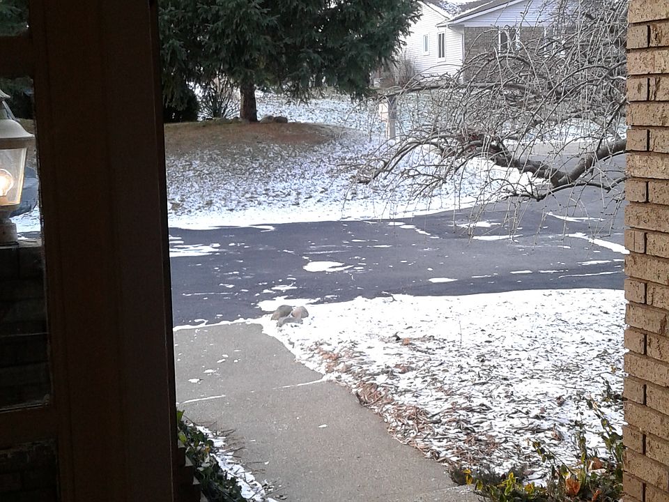 Covered Porch Front Door