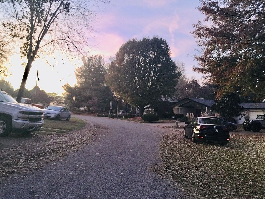 2nd image of 7720 Myrtlewood Dr