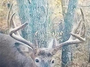 22045 Zink Rd, Fairchild, WI 54741