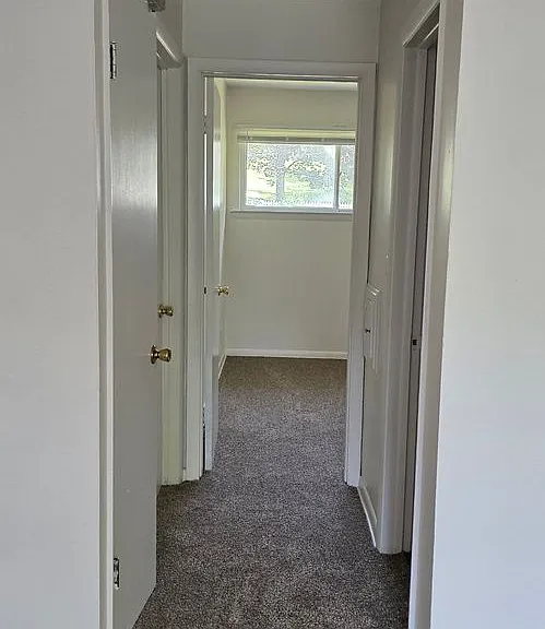 819 John St — Photo 4