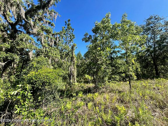 4th image of 16147 Sheldrake Loop