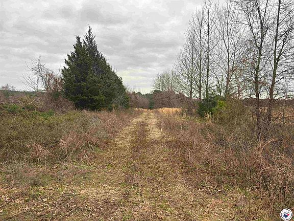 5th image of Ease Road Cres #2923