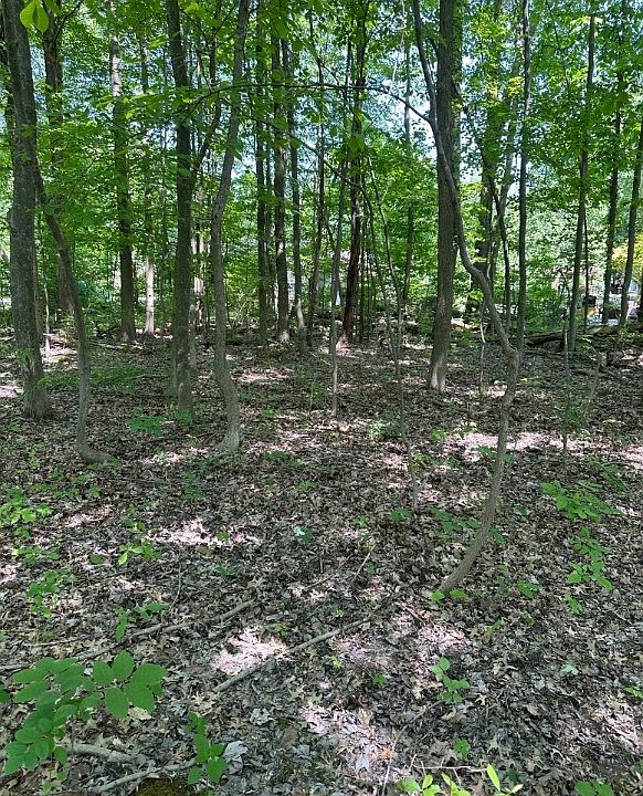 2nd image of 1360 Quick Rd