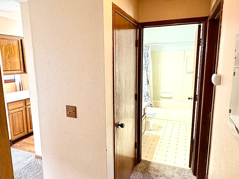 401 N Bliss St #4 — Photo 10