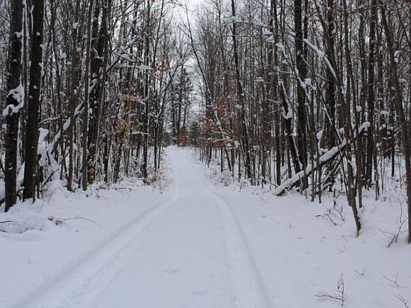 2nd image of Off Of Snake Branch Rd