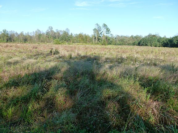 3rd image of 27.59 N Nc 111 Highway