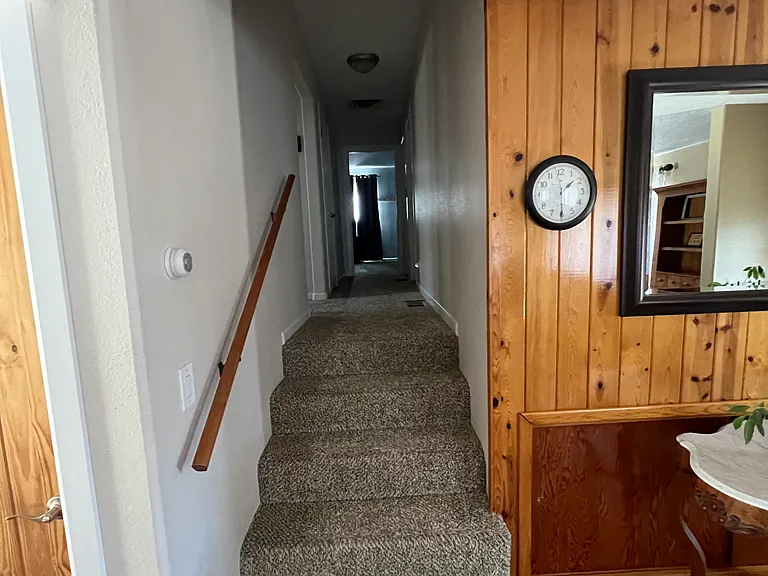 11 Rose Rd — Photo 19