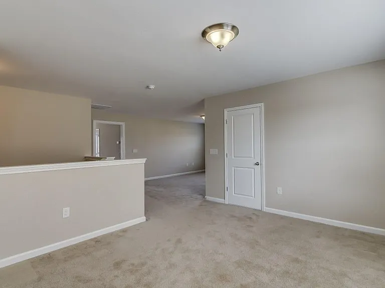 689 Carolina Farms Blvd — Photo 24