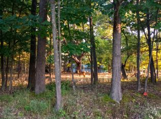 LOT 234 Kings Way, Gladwin, MI 48624