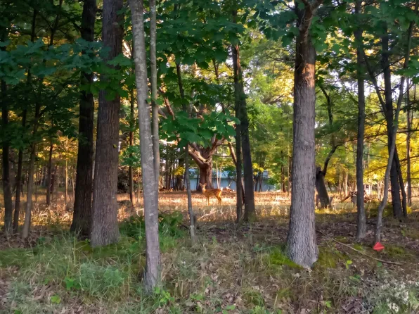 LOT 234 Kings Way, Gladwin, MI 48624