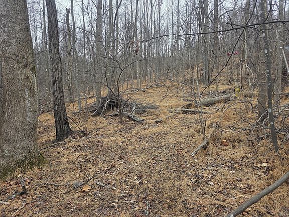 4th image of 0 Hickory Falls Rd