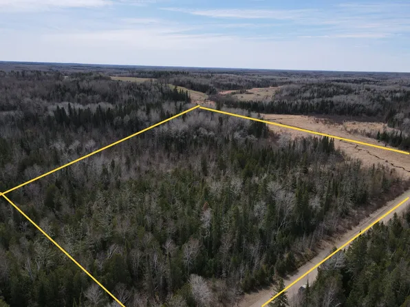 40 Tbd Co Rd, Effie, MN 56639