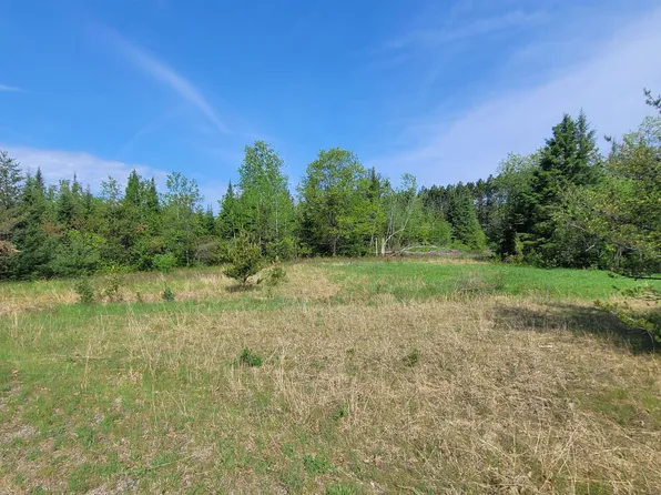 Old 38 Rd, Amberg, WI 54102