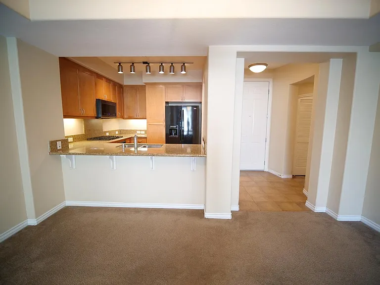 8233 Station Village Ln #2209 — Photo 9