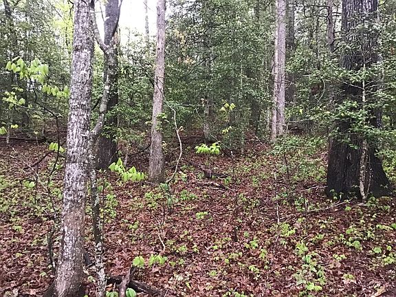 3rd image of 0 Low Brace Rd