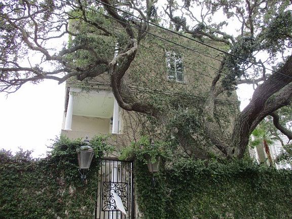 Property Side View