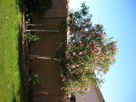 5th image of 10749 W Angels Ln