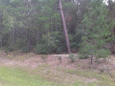 2nd image of SW 113th Pl
