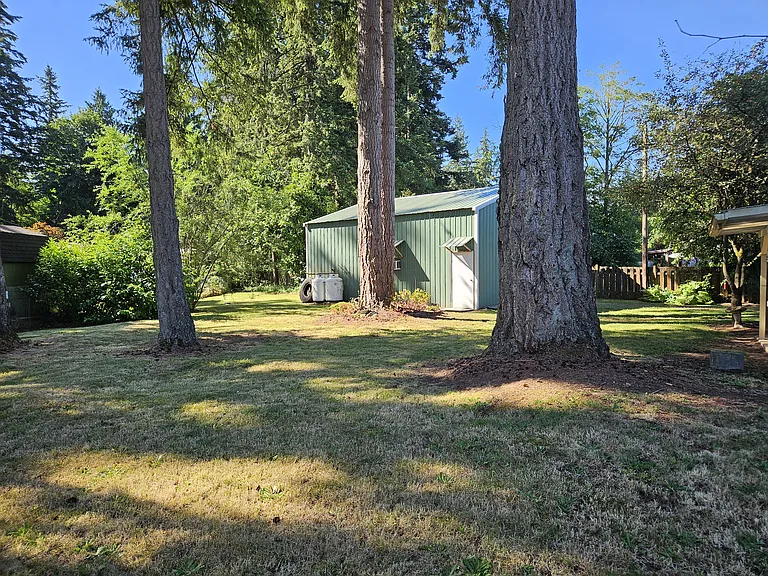 View of backyard looking S towards detached garage