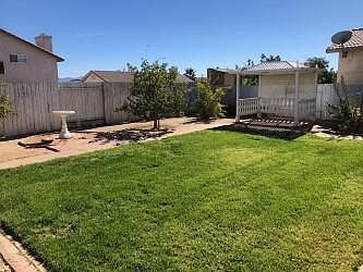 Back yard