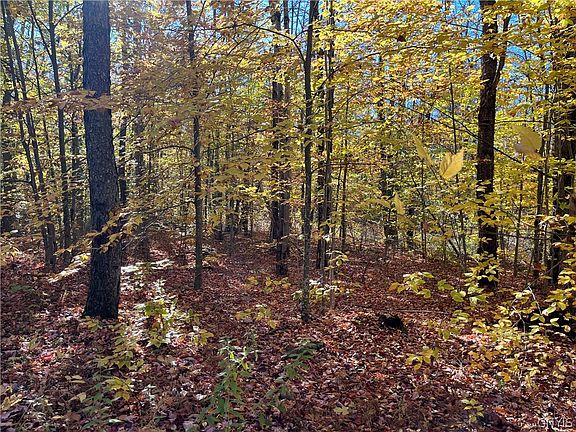 5th image of 0 Lee Rd #67