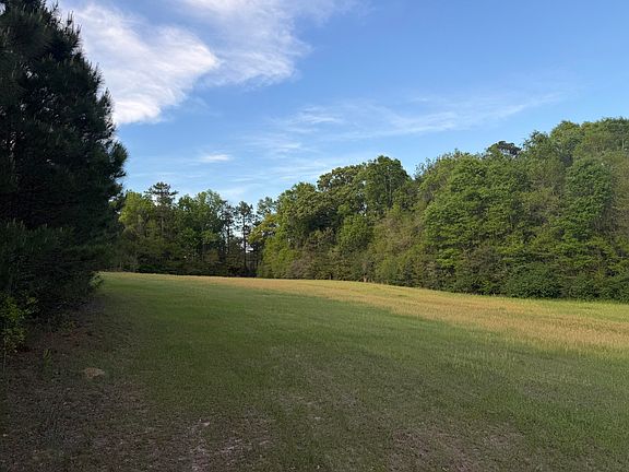 2nd image of 29.47 Acre Hwy #13