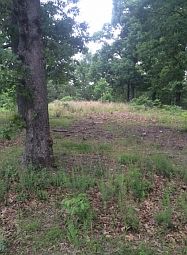 2nd image of 510 Northside Rd