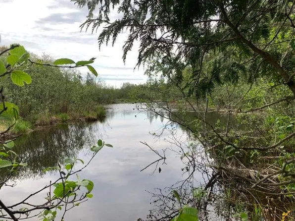 LOT 10 W Little Cut Ln, Moran, MI 49760