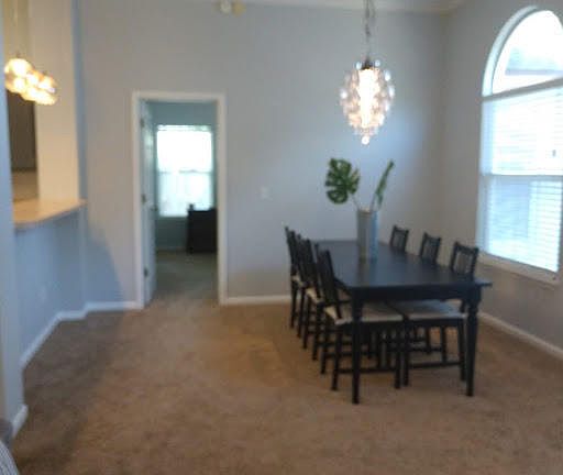 5th image of 1162 Sandpiper Ln E
