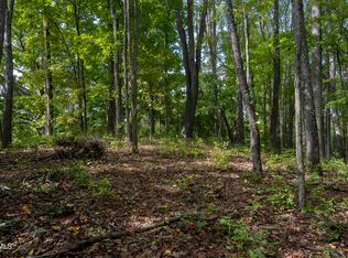 69 Wood Land Cir, Lebanon, VA 24266