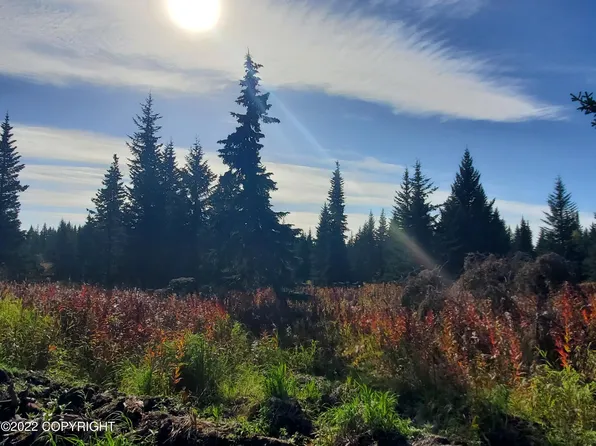 67741 Shavila Rd, Ninilchik, AK 99639