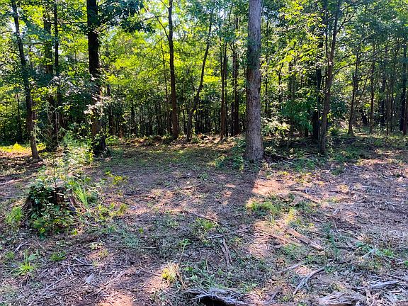 5th image of 0 Highway 232 Lot 74