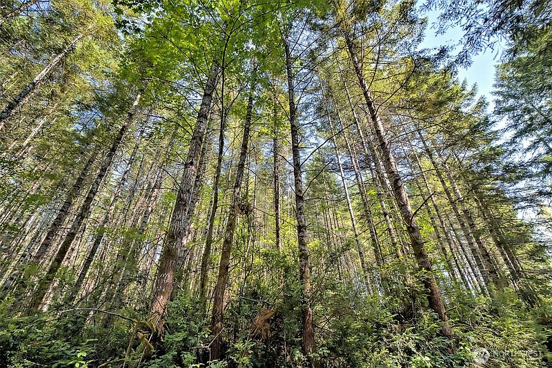 4th image of 0 Tahuya Valley Drive E