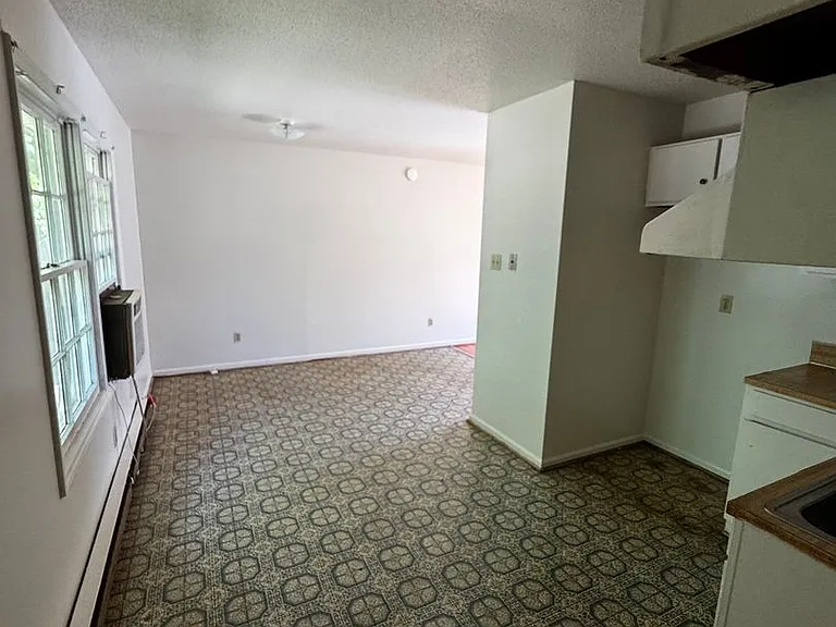 1337 N Lafayette St — Photo 10