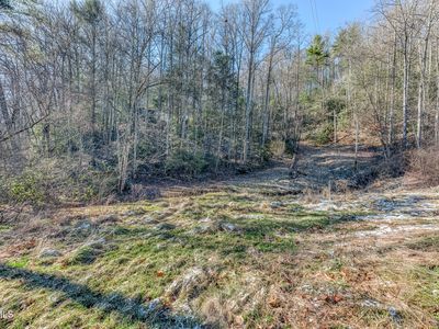 469 Moreland Dr, Butler, TN, 37640