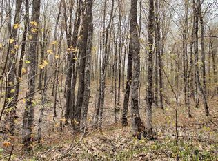 Holappa Rd, Atlantic Mine, MI 49905